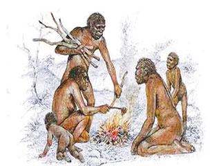 О предках человека
