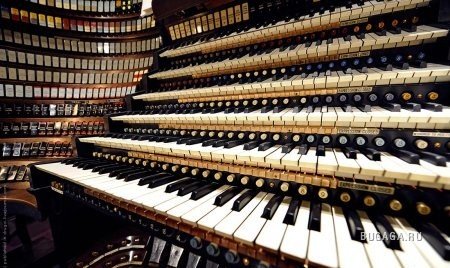 История органного инструмента