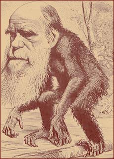 Теория Дарвина